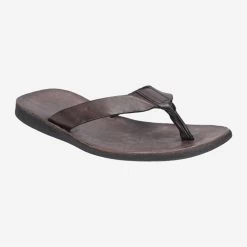 Brador Art.  46-140 TDM Braun