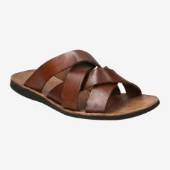 Brador Art.  46-620 MOGANO Braun