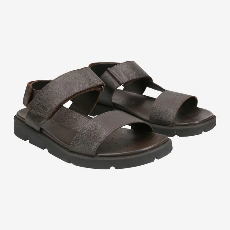 GEOX Art. XAND Braun 4 GEOX Art. XAND Braun – Bild 2