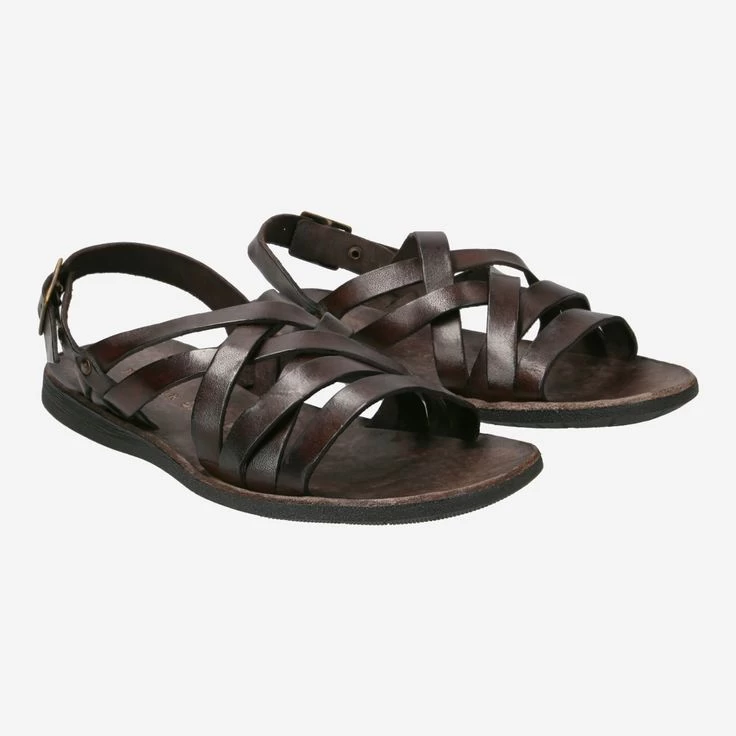 Brador Art. 46-506 TDM Braun 4 Brador Art. 46-506 TDM Braun – Bild 2