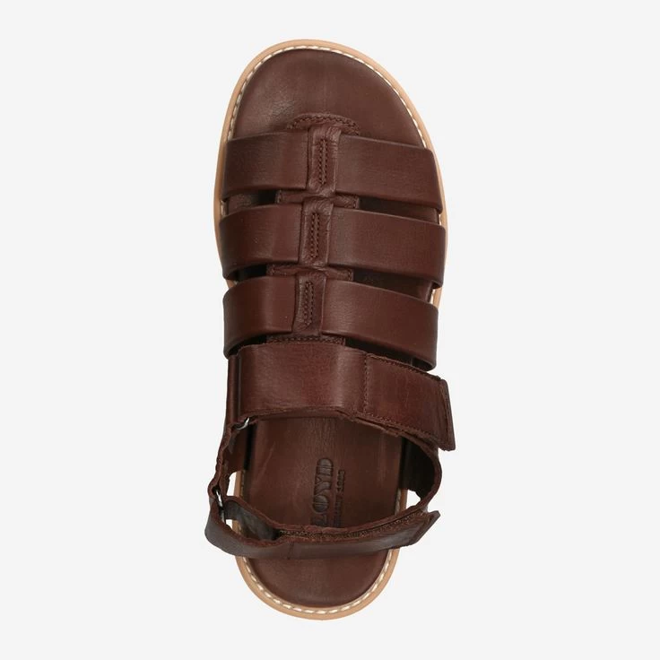 Lloyd Art. 13-404-03* ELIMAR Braun 7 Lloyd Art. 13-404-03* ELIMAR Braun – Bild 5