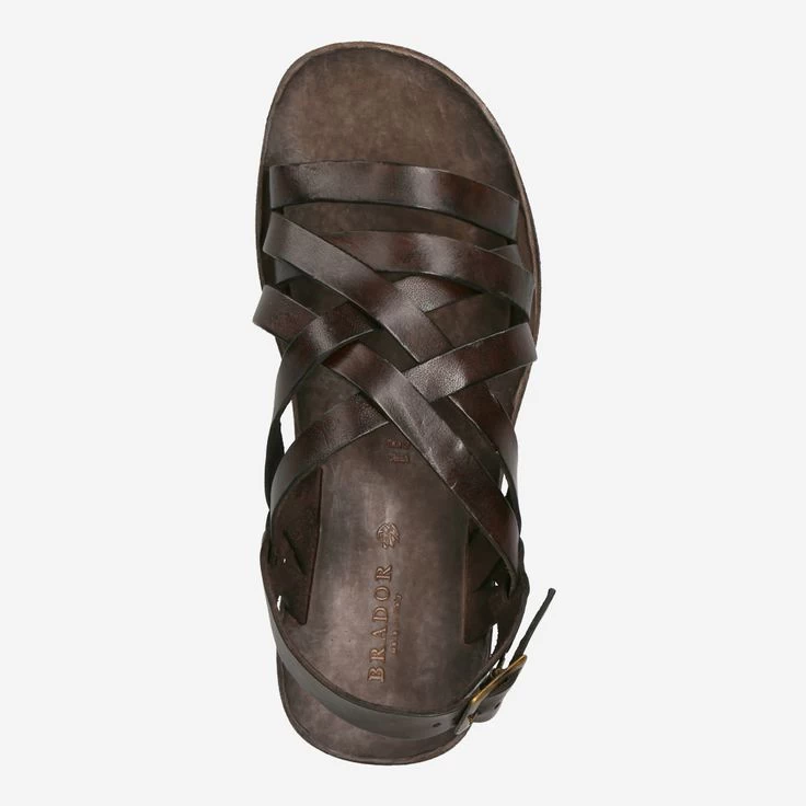 Brador Art. 46-506 TDM Braun 7 Brador Art. 46-506 TDM Braun – Bild 5